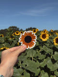 Sunflower sticker